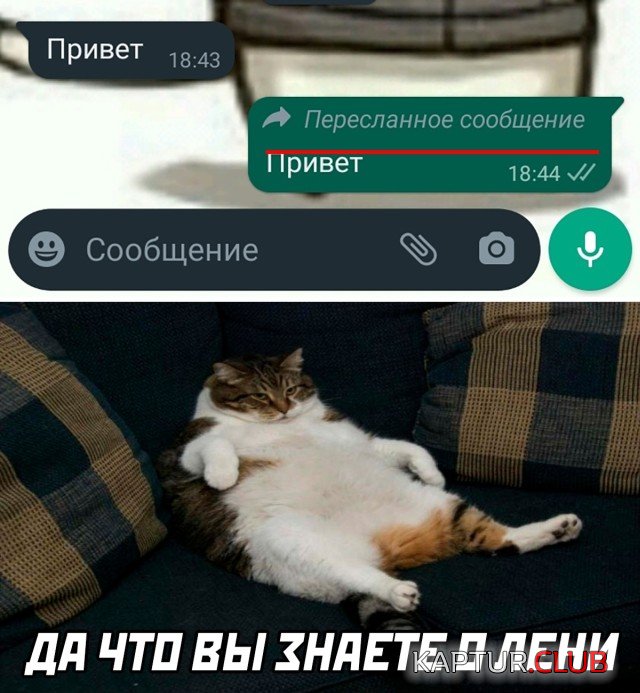 1639491823_podb_01.jpg | Рено Каптур Клуб Россия | Форум KAPTUR.SU