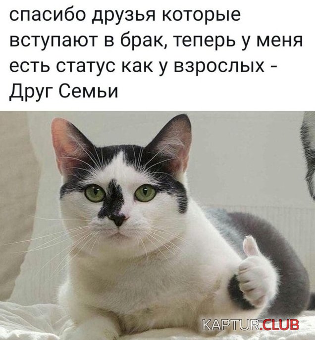 1639555758_1639404140_podb_25.jpg | Рено Каптур Клуб Россия | Форум KAPTUR.SU