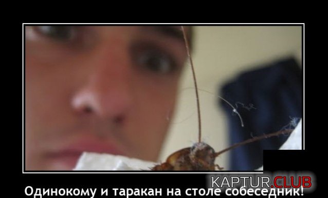 1639563360_1639057268_demotivatory_15.jpg | Рено Каптур Клуб Россия | Форум KAPTUR.SU