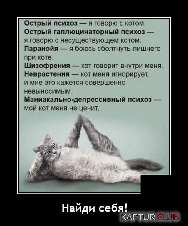 1639751718_demotivatory_13.jpg | Рено Каптур Клуб Россия | Форум KAPTUR.SU
