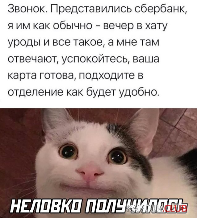 1640100181_podb_27.jpg | Рено Каптур Клуб Россия | Форум KAPTUR.SU