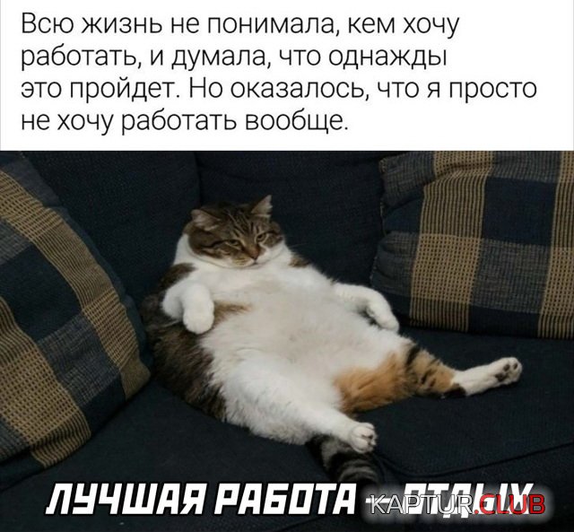 1640188088_podb_02.jpg | Рено Каптур Клуб Россия | Форум KAPTUR.SU