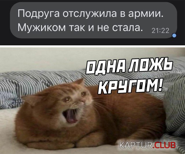 1640188126_podb_21.jpg | Рено Каптур Клуб Россия | Форум KAPTUR.SU