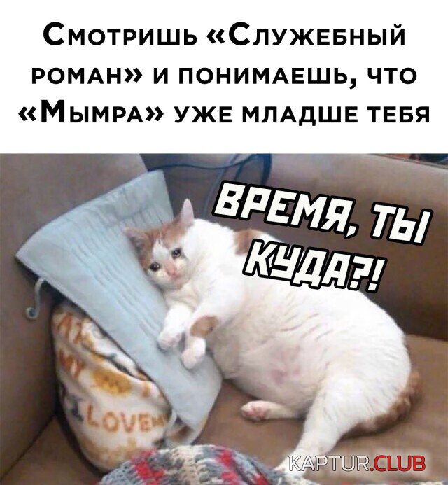 1640188139_podb_30.jpg | Рено Каптур Клуб Россия | Форум KAPTUR.SU