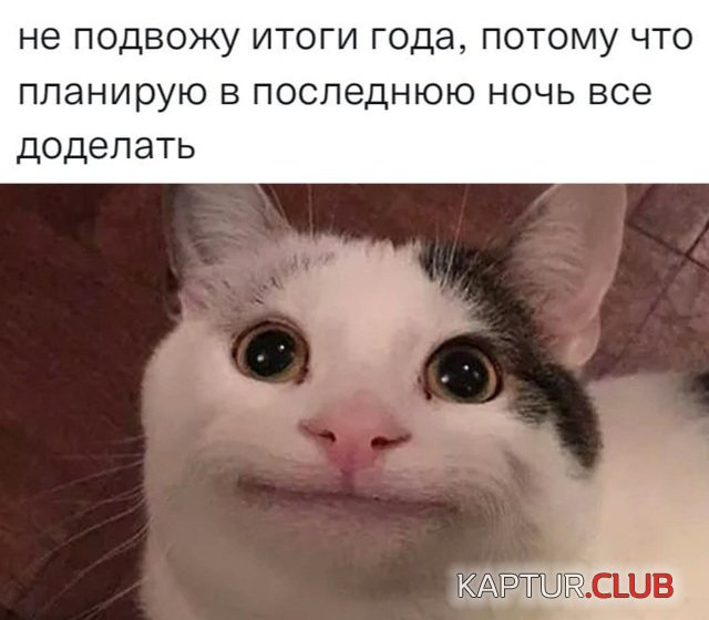 1640361210_podb_03.jpg | Рено Каптур Клуб Россия | Форум KAPTUR.SU