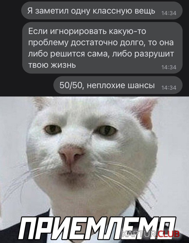 1640361212_podb_02.jpg | Рено Каптур Клуб Россия | Форум KAPTUR.SU