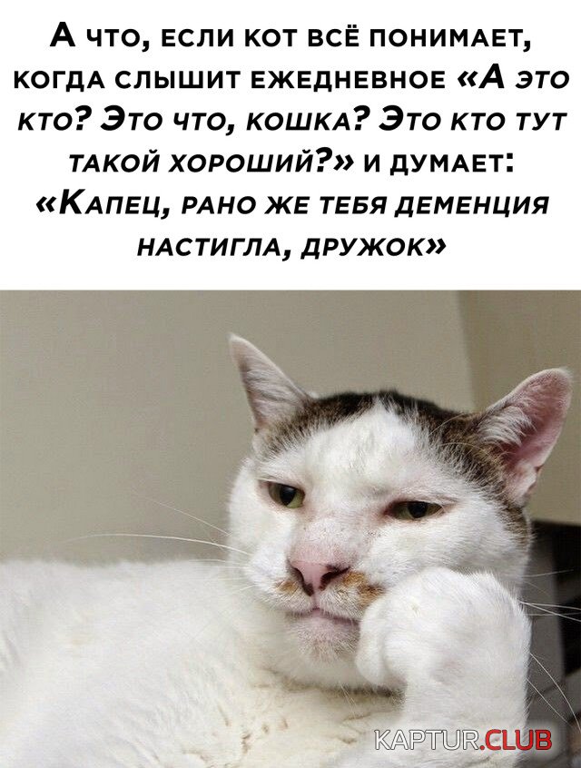1640709015_podb_15.jpg | Рено Каптур Клуб Россия | Форум KAPTUR.SU
