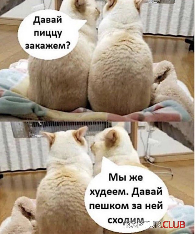1641212386_222533_2_trinixy_ru.jpg | Рено Каптур Клуб Россия | Форум KAPTUR.SU