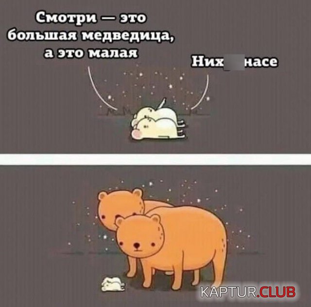 1641221542_222492_4_trinixy_ru.jpg | Рено Каптур Клуб Россия | Форум KAPTUR.SU