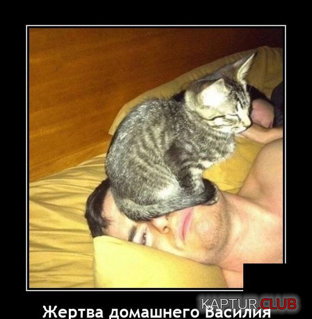 1641298423_demotivatory_02.jpg | Рено Каптур Клуб Россия | Форум KAPTUR.SU