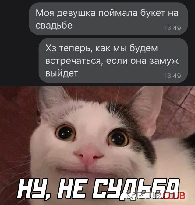 1641300122_podb_05.jpg | Рено Каптур Клуб Россия | Форум KAPTUR.SU