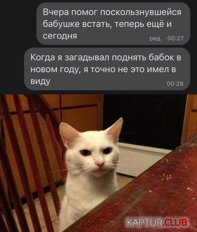 1641389886_podb_15.jpg | Рено Каптур Клуб Россия | Форум KAPTUR.SU