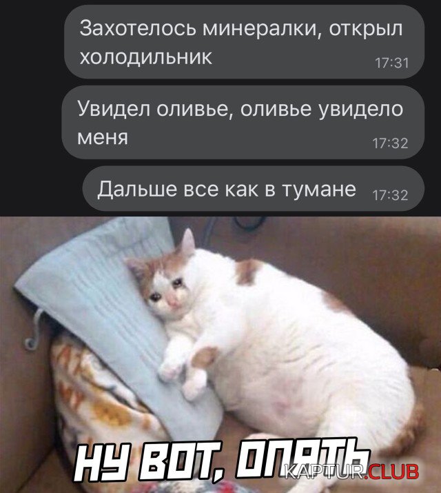 1641455037_1641300201_podb_26.jpg | Рено Каптур Клуб Россия | Форум KAPTUR.SU
