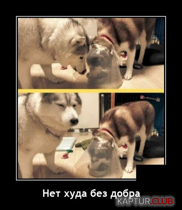 1641823869_demotivatory_11.jpg | Рено Каптур Клуб Россия | Форум KAPTUR.SU