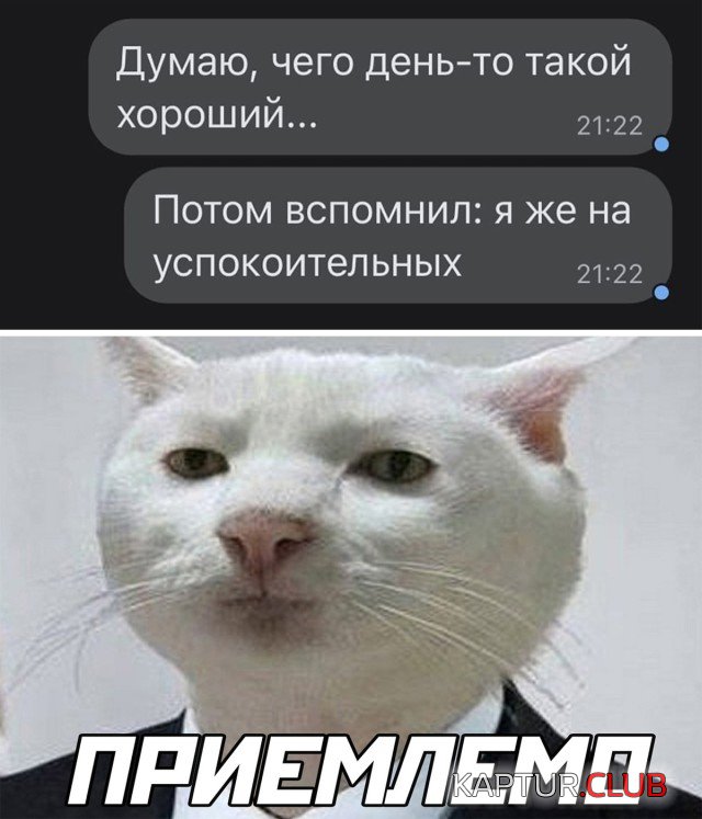 1642003978_podb_27.jpg | Рено Каптур Клуб Россия | Форум KAPTUR.SU