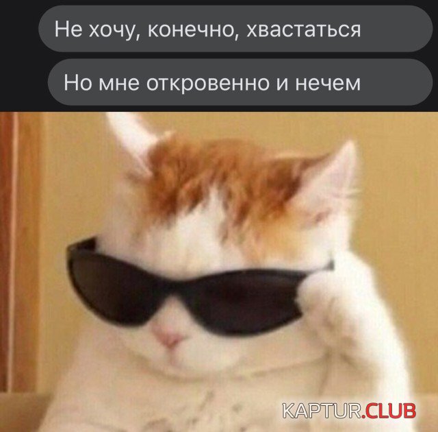 1642061048_1642003925_podb_28.jpg | Рено Каптур Клуб Россия | Форум KAPTUR.SU
