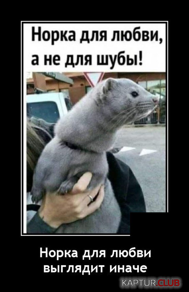 1642085299_demotivatory_14.jpg | Рено Каптур Клуб Россия | Форум KAPTUR.SU