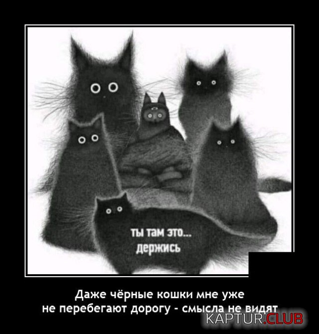 1642085301_demotivatory_01.jpg | Рено Каптур Клуб Россия | Форум KAPTUR.SU
