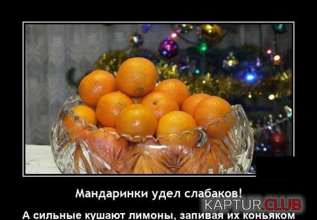 1642174262_demotivatory_11.jpg | Рено Каптур Клуб Россия | Форум KAPTUR.SU