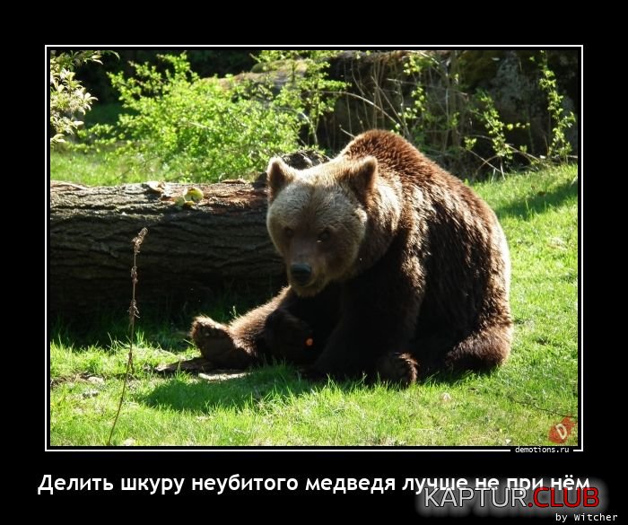 1642769067_demotivatory_20.jpg | Рено Каптур Клуб Россия | Форум KAPTUR.SU