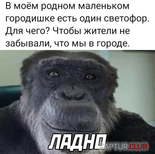1643037313_podb_19.jpg | Рено Каптур Клуб Россия | Форум KAPTUR.SU