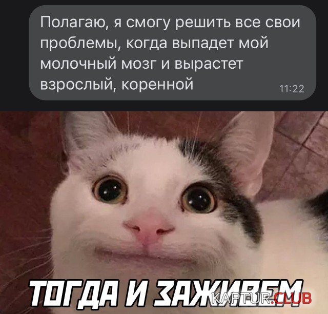 1643037338_podb_29.jpg | Рено Каптур Клуб Россия | Форум KAPTUR.SU
