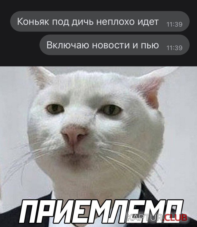 1643125988_podb_03.jpg | Рено Каптур Клуб Россия | Форум KAPTUR.SU