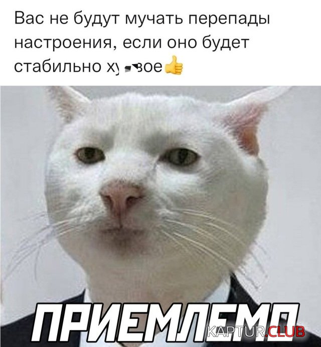 1643300215_podb_05.jpg | Рено Каптур Клуб Россия | Форум KAPTUR.SU
