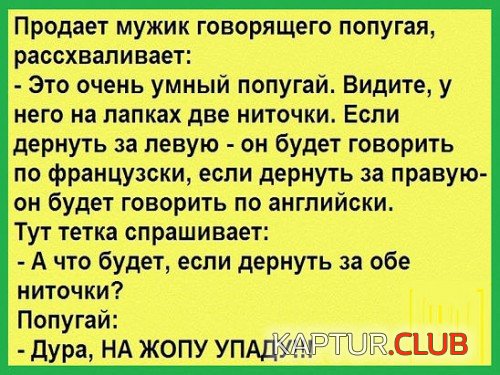 164331398.p.500.500.0.jpg | Рено Каптур Клуб Россия | Форум KAPTUR.SU