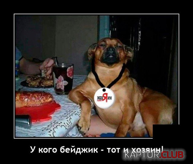 1643632859_demotivatory_19.jpg | Рено Каптур Клуб Россия | Форум KAPTUR.SU