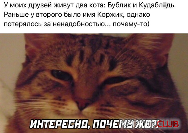 1643803627_podb_27.jpg | Рено Каптур Клуб Россия | Форум KAPTUR.SU