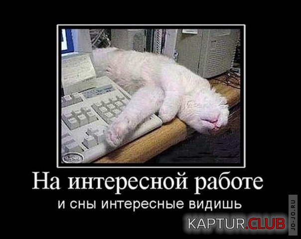 1643841012_1487404627_097553422-89003158709.jpg | Рено Каптур Клуб Россия | Форум KAPTUR.SU