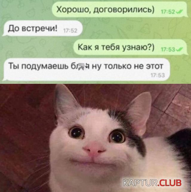 1644421941_podb_14.jpg | Рено Каптур Клуб Россия | Форум KAPTUR.SU