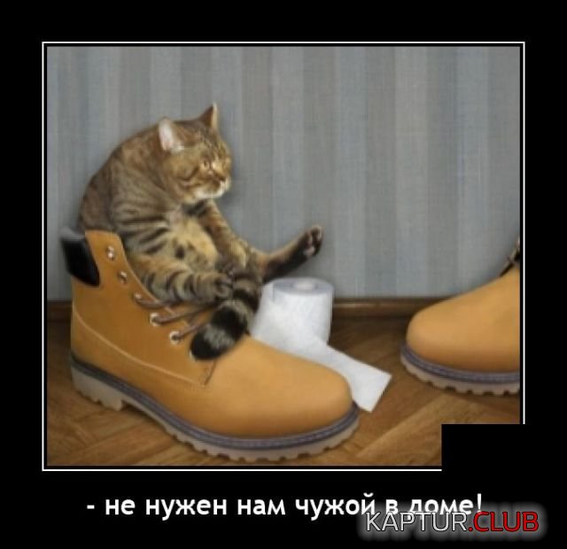 1644497170_demotivatory_05.jpg | Рено Каптур Клуб Россия | Форум KAPTUR.SU