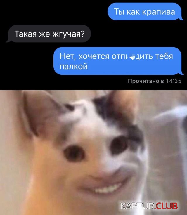 1644505456_podb_11.jpg | Рено Каптур Клуб Россия | Форум KAPTUR.SU