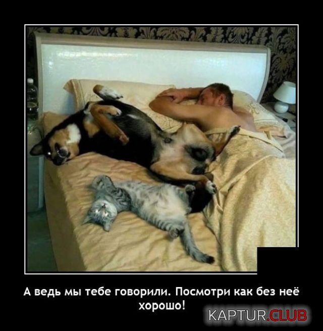 1644591174_demotivatory_05.jpg | Рено Каптур Клуб Россия | Форум KAPTUR.SU