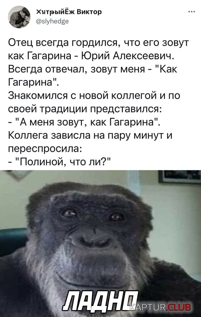 1644595226_podb_26.jpg | Рено Каптур Клуб Россия | Форум KAPTUR.SU