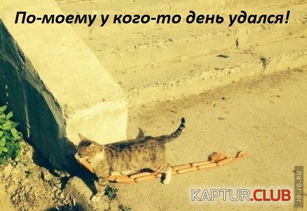 1644705132_images_6108.jpg | Рено Каптур Клуб Россия | Форум KAPTUR.SU