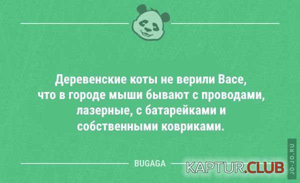 1644707799_1644564951_aneki.jpg | Рено Каптур Клуб Россия | Форум KAPTUR.SU