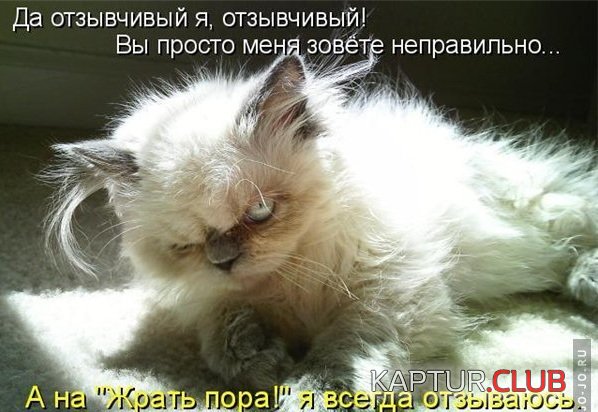 1644790142_images_89.jpg | Рено Каптур Клуб Россия | Форум KAPTUR.SU