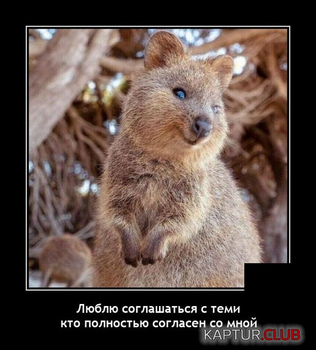 1644840123_demotivatory_16.jpg | Рено Каптур Клуб Россия | Форум KAPTUR.SU