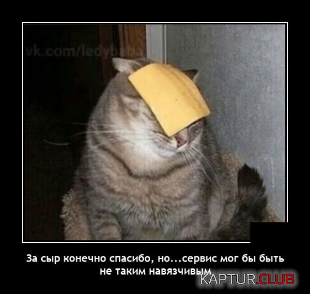 1644840126_demotivatory_13.jpg | Рено Каптур Клуб Россия | Форум KAPTUR.SU