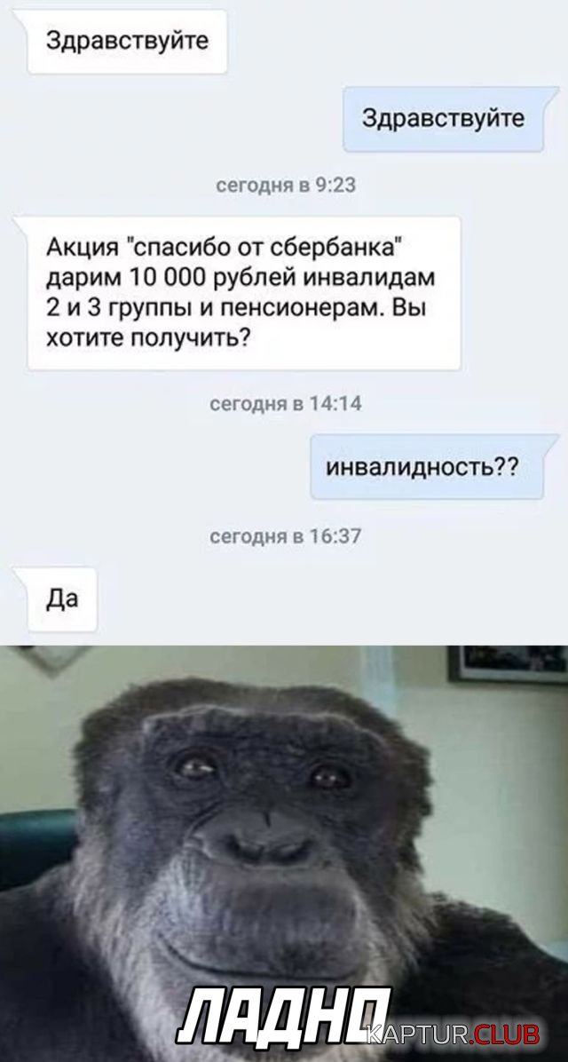 1644846375_podb_01.jpg | Рено Каптур Клуб Россия | Форум KAPTUR.SU