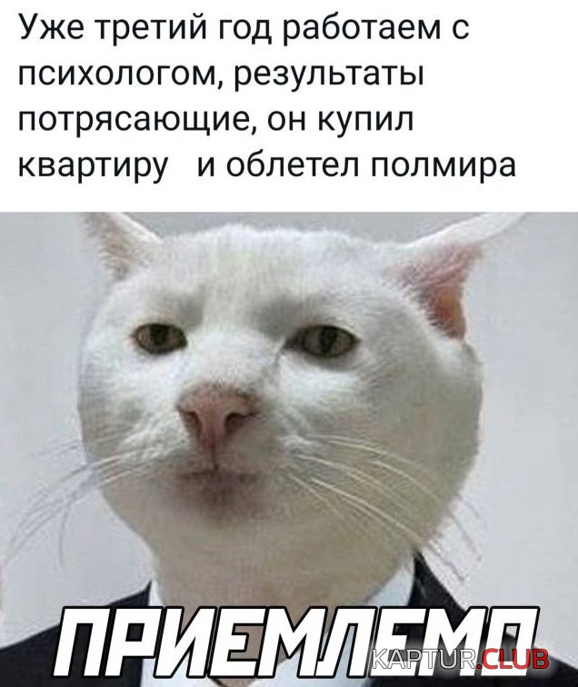 1644937409_podb_02.jpg | Рено Каптур Клуб Россия | Форум KAPTUR.SU