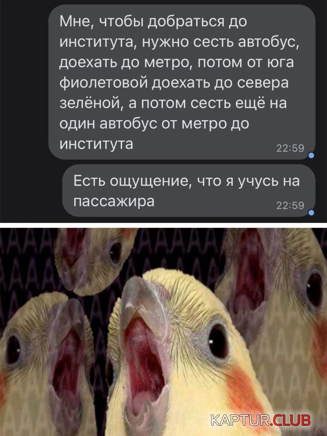 1645025849_podb_05.jpg | Рено Каптур Клуб Россия | Форум KAPTUR.SU