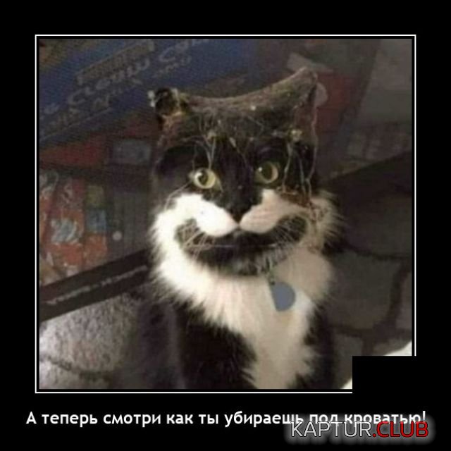 1645111447_demotivatory_05.jpg | Рено Каптур Клуб Россия | Форум KAPTUR.SU