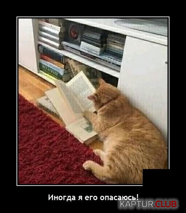 1645111469_demotivatory_14.jpg | Рено Каптур Клуб Россия | Форум KAPTUR.SU
