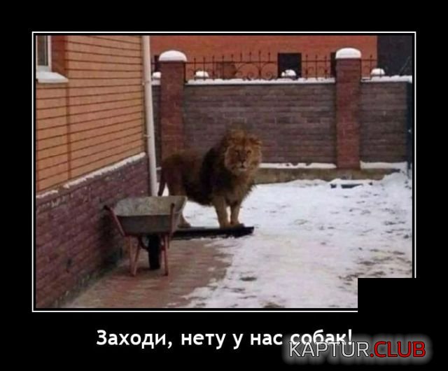 1645111475_demotivatory_13.jpg | Рено Каптур Клуб Россия | Форум KAPTUR.SU