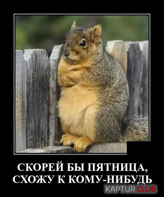 1645190504_demotivatory_19.jpg | Рено Каптур Клуб Россия | Форум KAPTUR.SU
