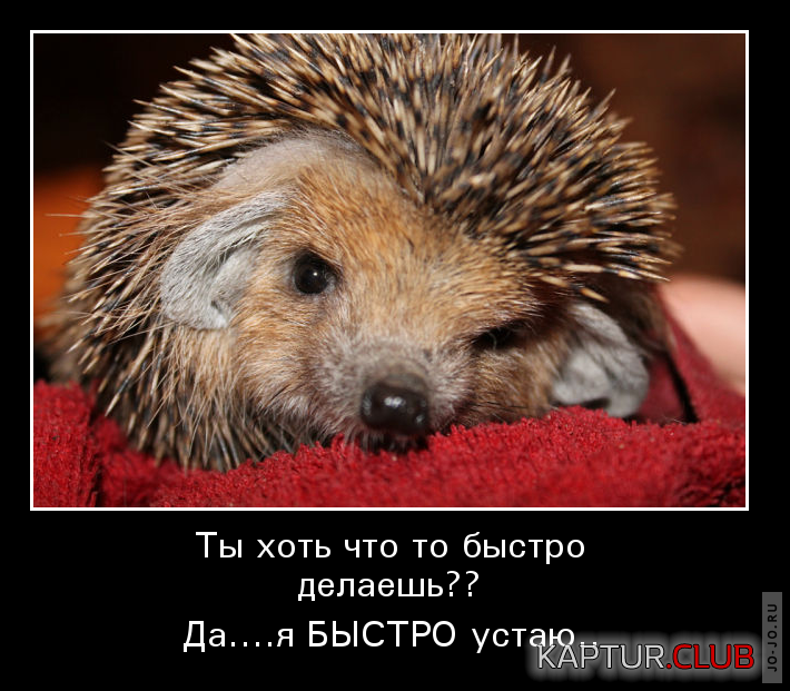 1645399175_images_59.png | Рено Каптур Клуб Россия | Форум KAPTUR.SU